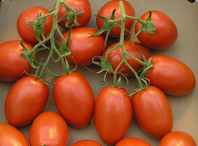 Cách chọn cà chua bi 5